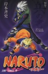 Naruto y Kakashi