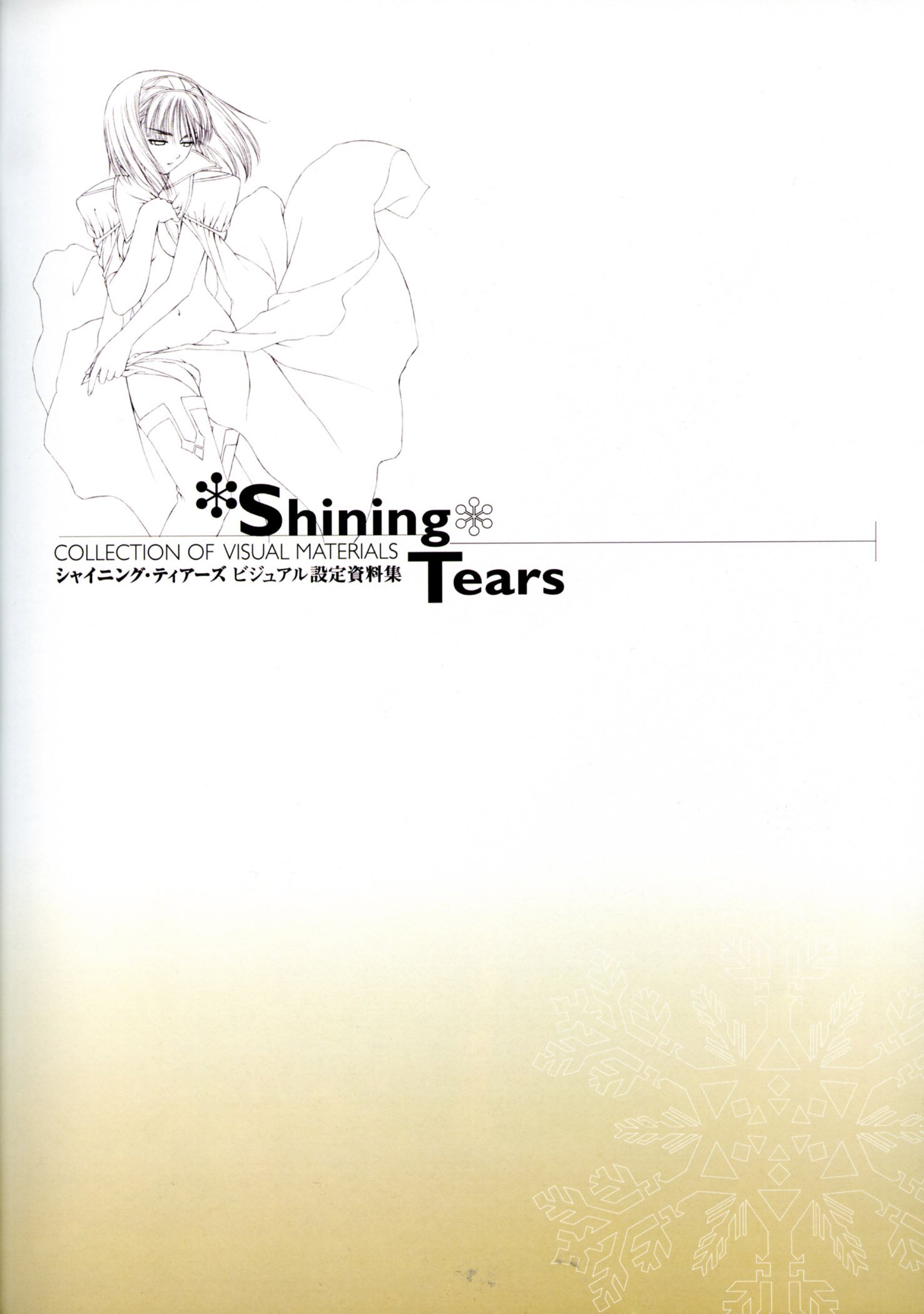 shiningtearsvisualcollection3.jpg