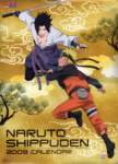 narutoshippuden20092_small.jpg