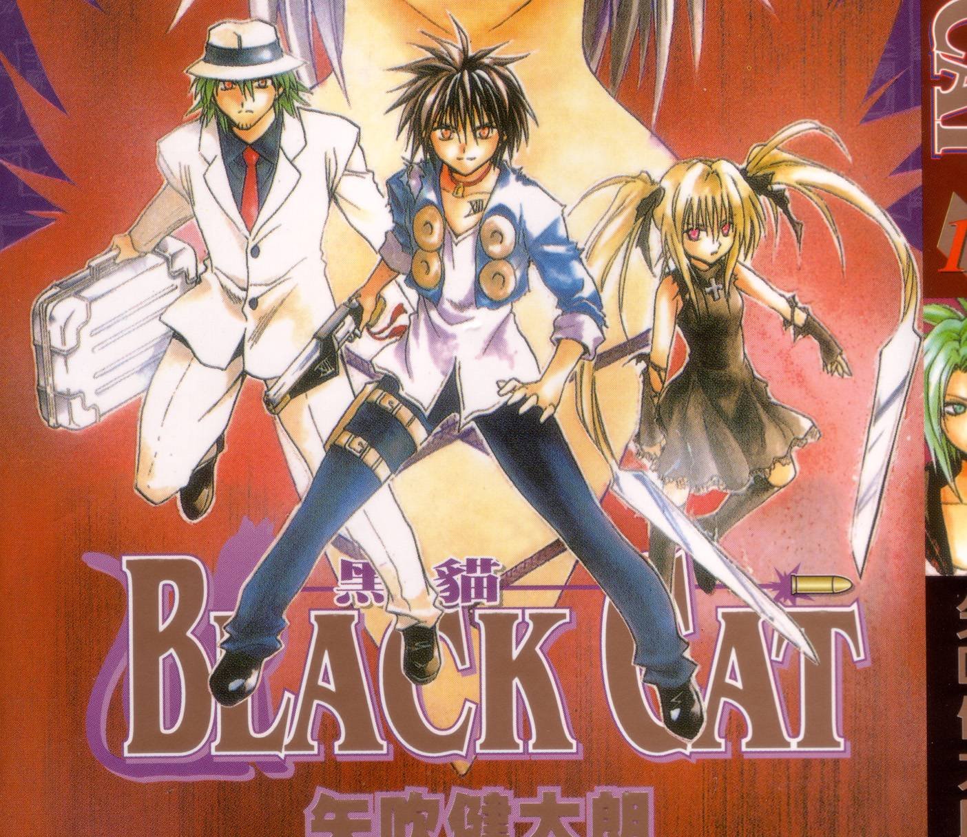blackcat87.jpg