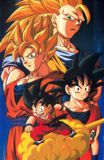 Goku nio, Goku crecidiot, Goku Super Saiyajin y Goku Super Saiyajin 3.. a chin, creo que ya haba puesto esto en otra imagen