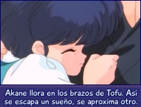 Akane llora en los brazos de Tofu.