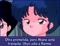 Akane observa a otra prometida más de Ranma.